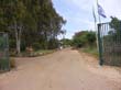 SANY5693