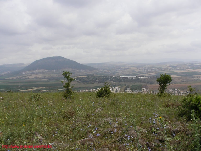 SANY6814