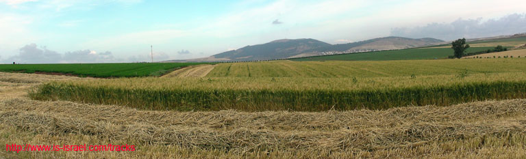 panorama1