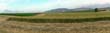 panorama1