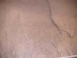 SANY6723