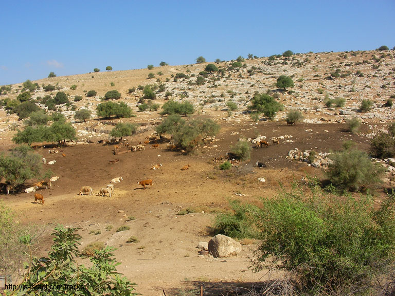 SANY0018