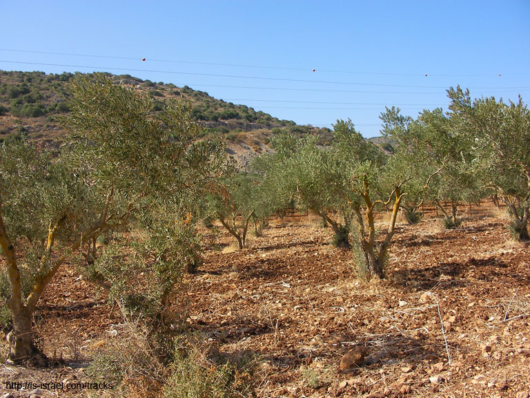 SANY0022