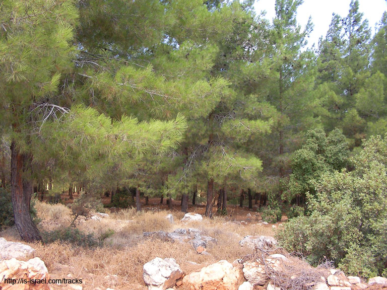 SANY0062