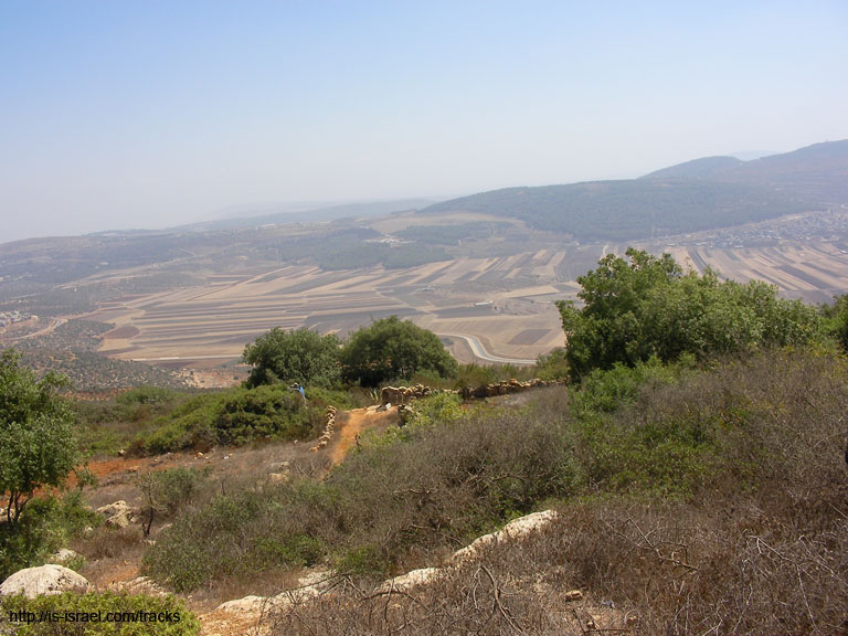SANY0097
