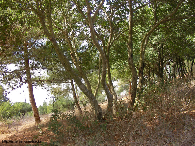 SANY0126