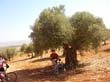 SANY0044