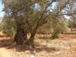 SANY0050