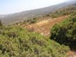 SANY0068