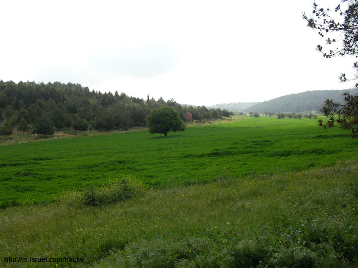 SANY3265