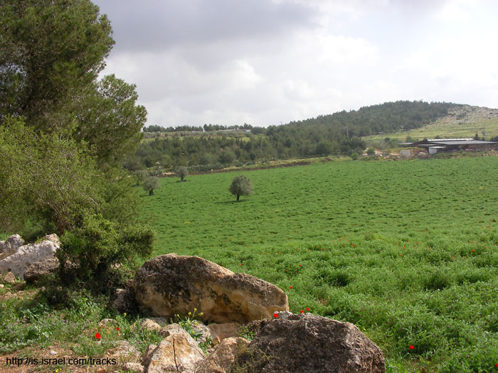 SANY3274
