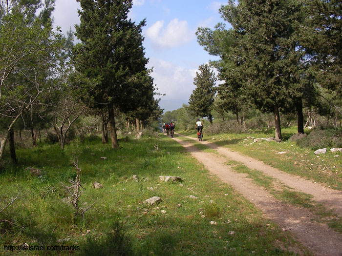 SANY3293