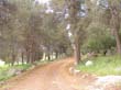 SANY3266