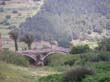 SANY3359