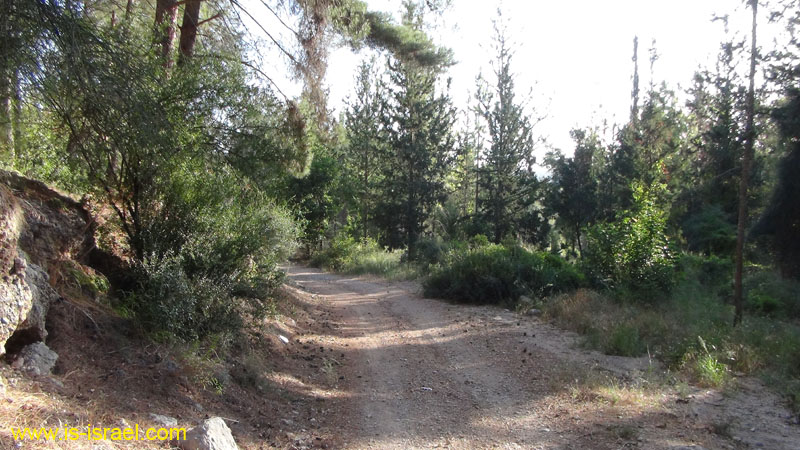 DSC06935