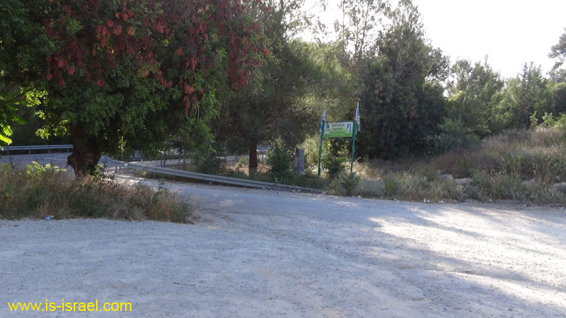 DSC06955