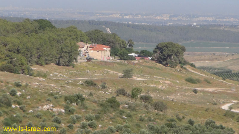 DSC06980