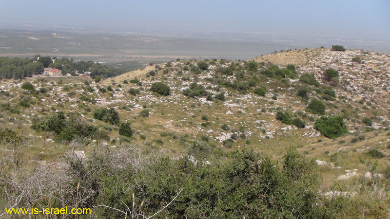 DSC07003