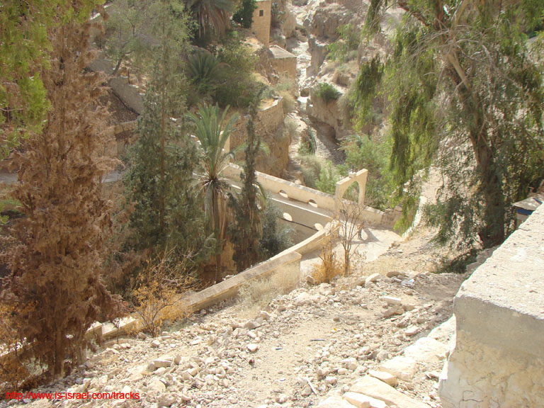 SANY2953