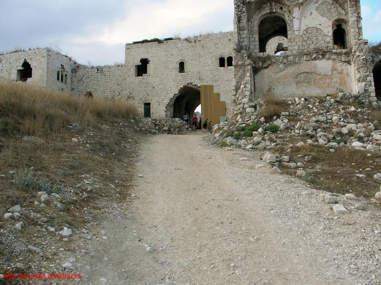 SANY0913