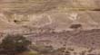 SANY0901