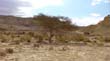 SANY0911