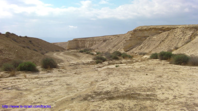 SANY0429