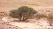 SANY0313