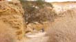 SANY0334